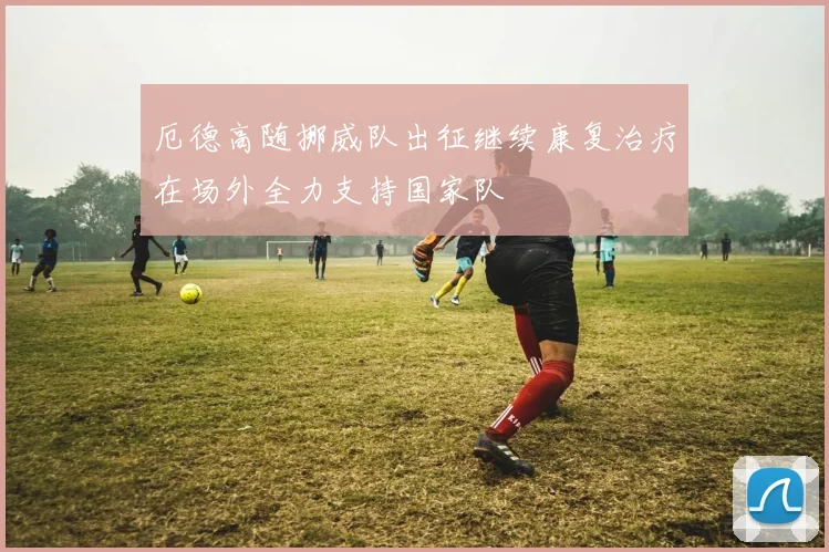 厄德高随挪威队出征继续康复治疗在场外全力支持国家队