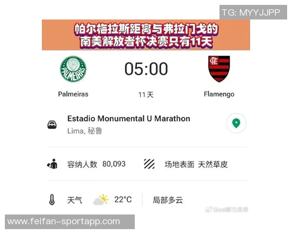 巴甲联赛历史夺冠次数统计帕尔梅拉斯领先弗拉门戈紧随其后